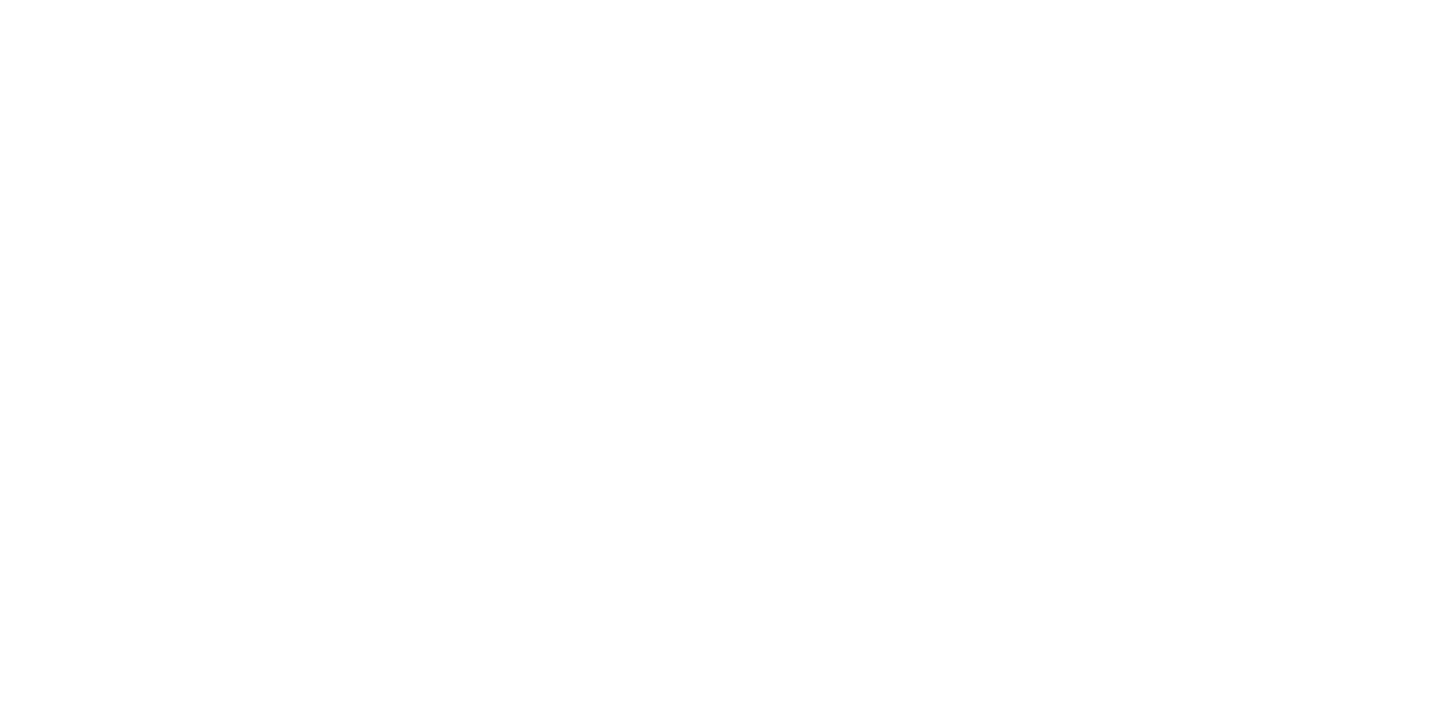 Worldwide Partners Logo